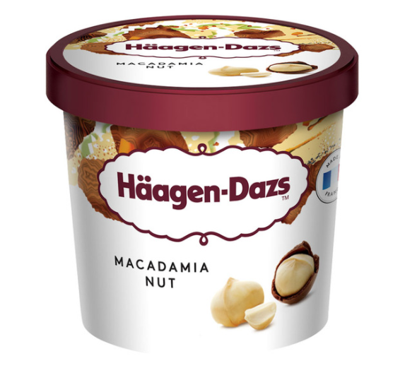 하겐다즈 미니컵 컬렉션 100ml x 10